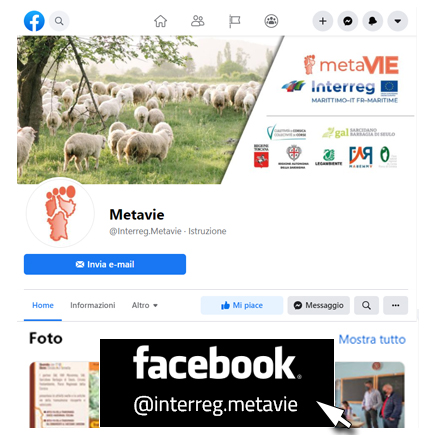 progetto metavie facebook