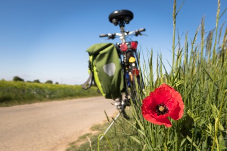 Modifica e riapertura bandi connessi al Turismo Sostenibile